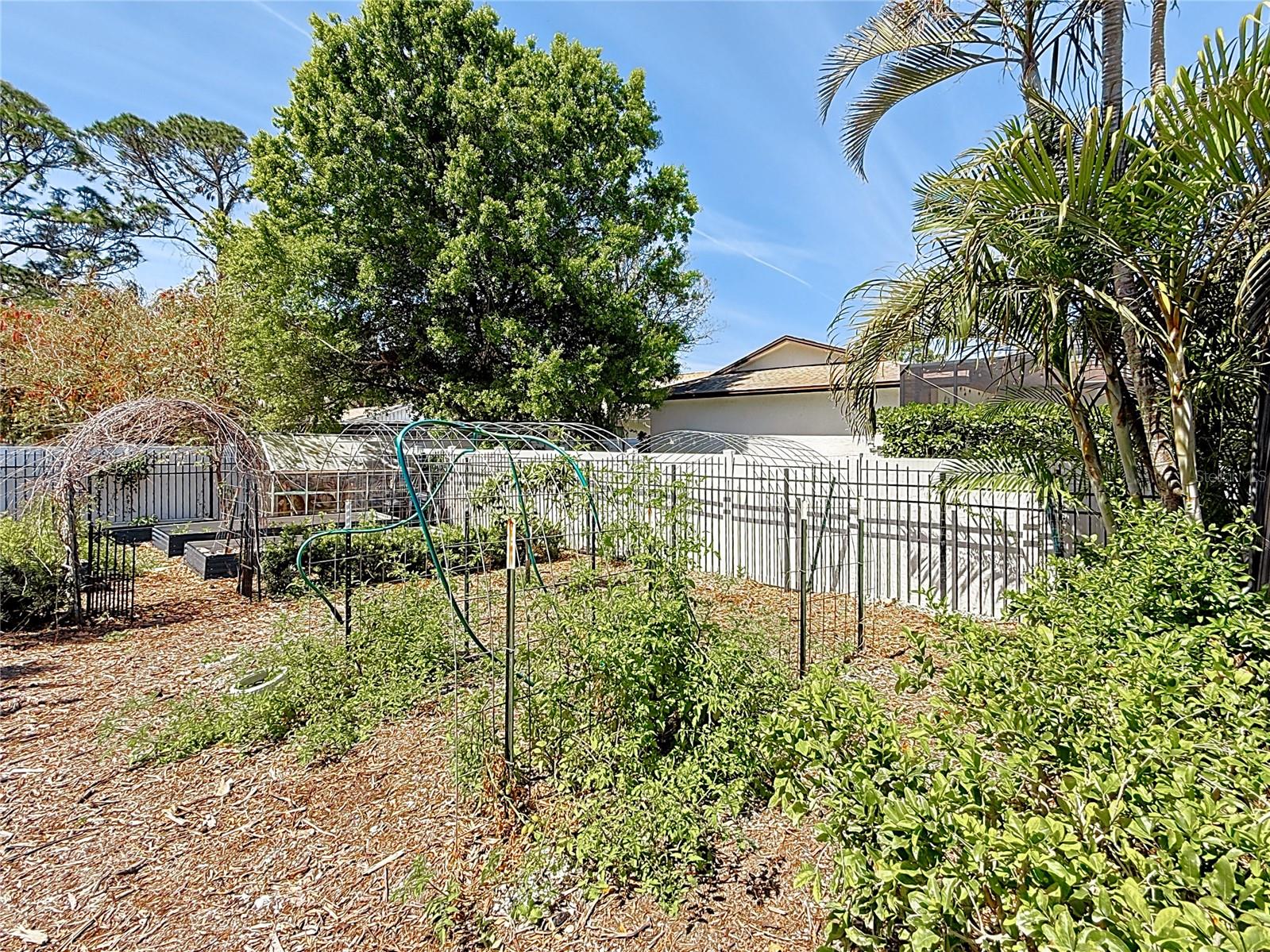 3009 OSPREY LN, CLEARWATER, FL, 33762