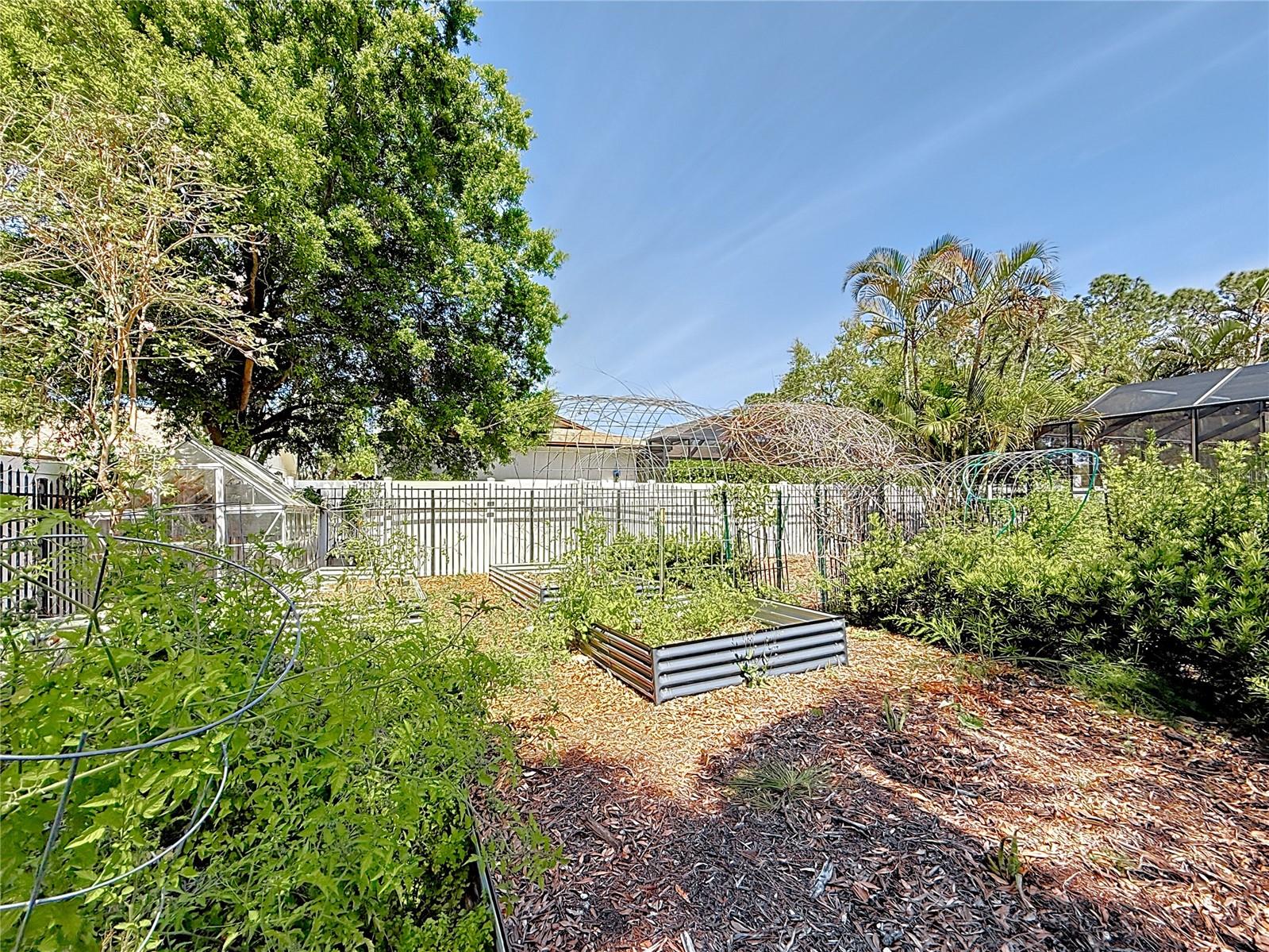 3009 OSPREY LN, CLEARWATER, FL, 33762