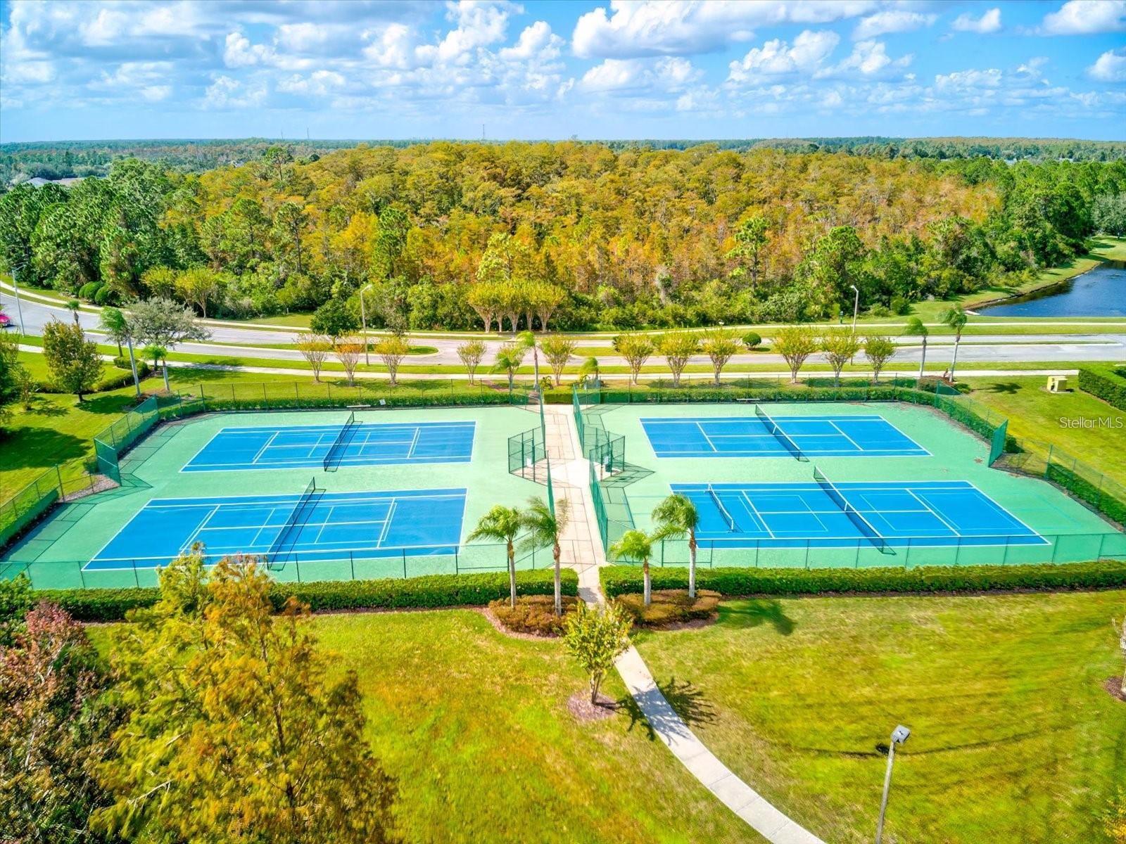 17719 LILY BLOSSOM LN, ORLANDO, FL, 32820