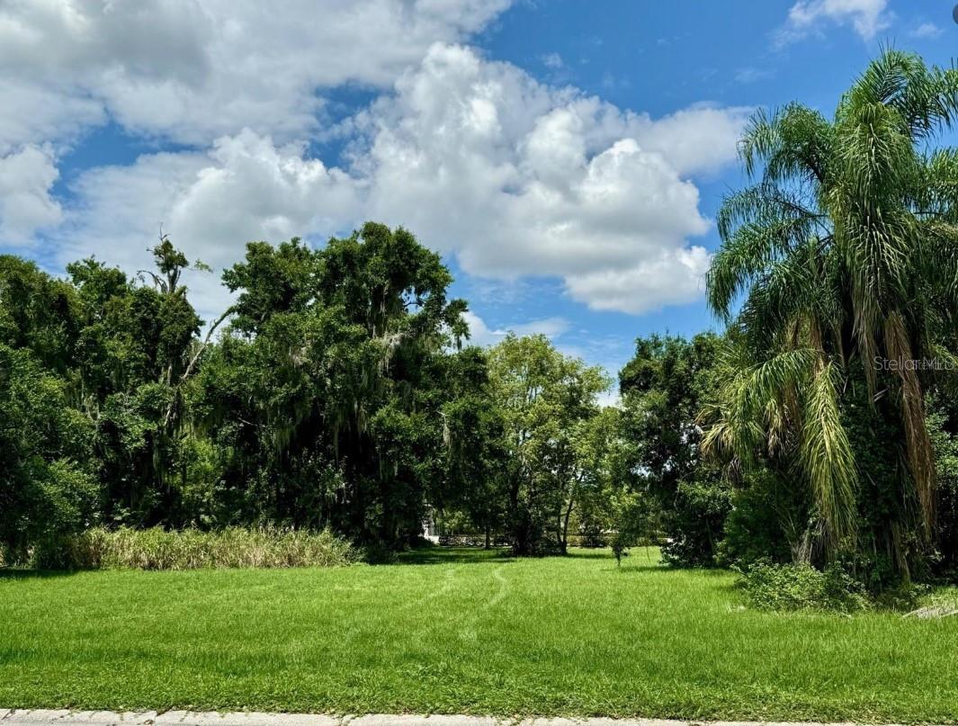 00 ROBINSON AVE, KISSIMMEE, FL, 34741