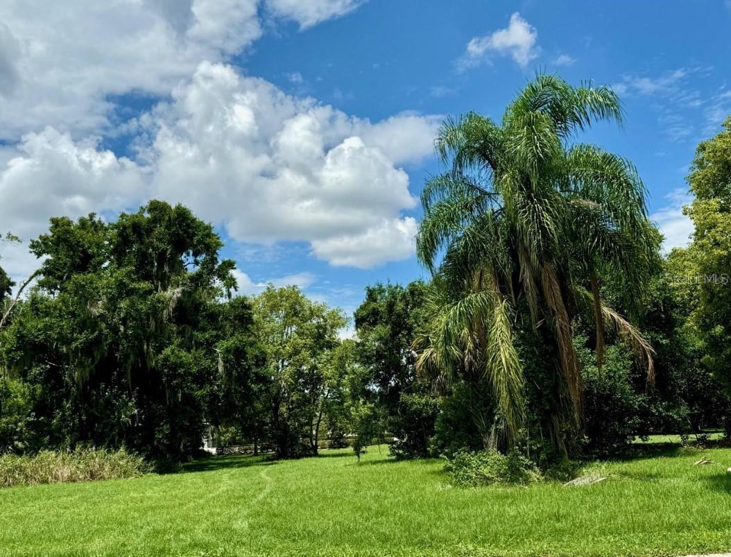 00 ROBINSON AVE, KISSIMMEE, FL, 34741