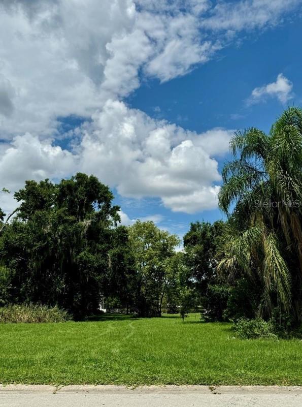 00 ROBINSON AVE, KISSIMMEE, FL, 34741