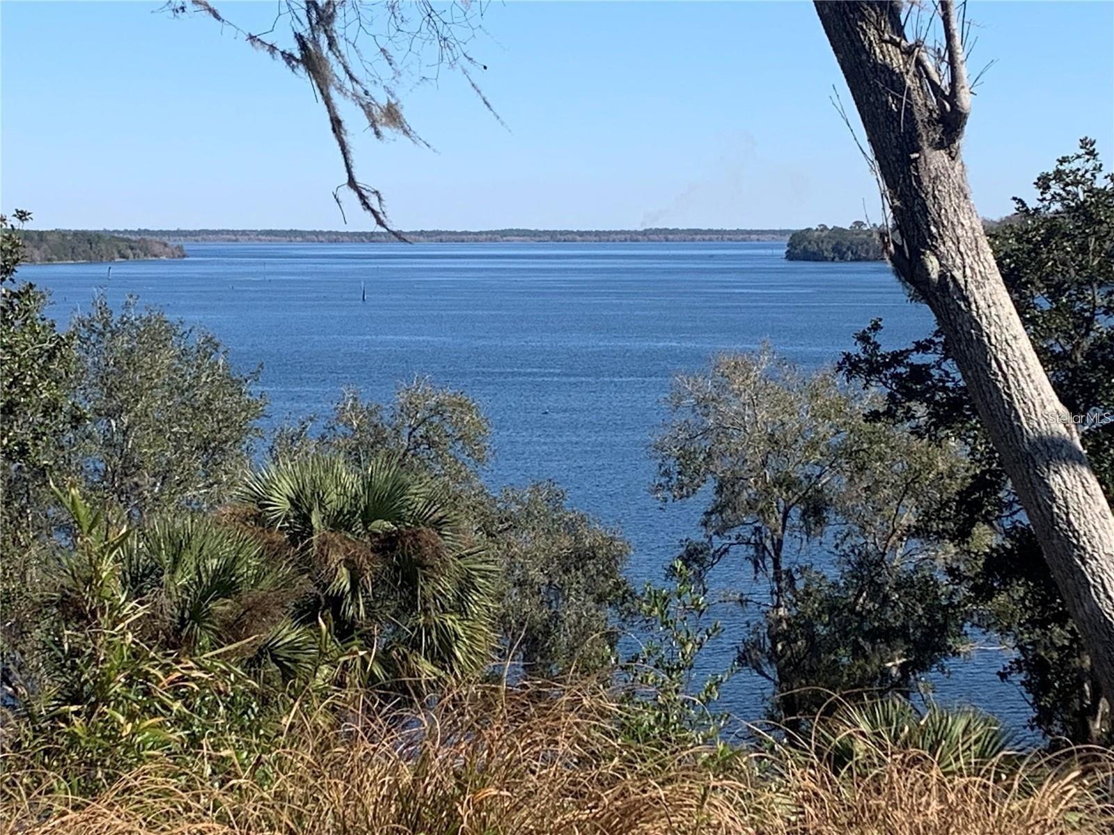 15991 NE 243RD PLACE RD #350, FORT MC COY, FL, 32134