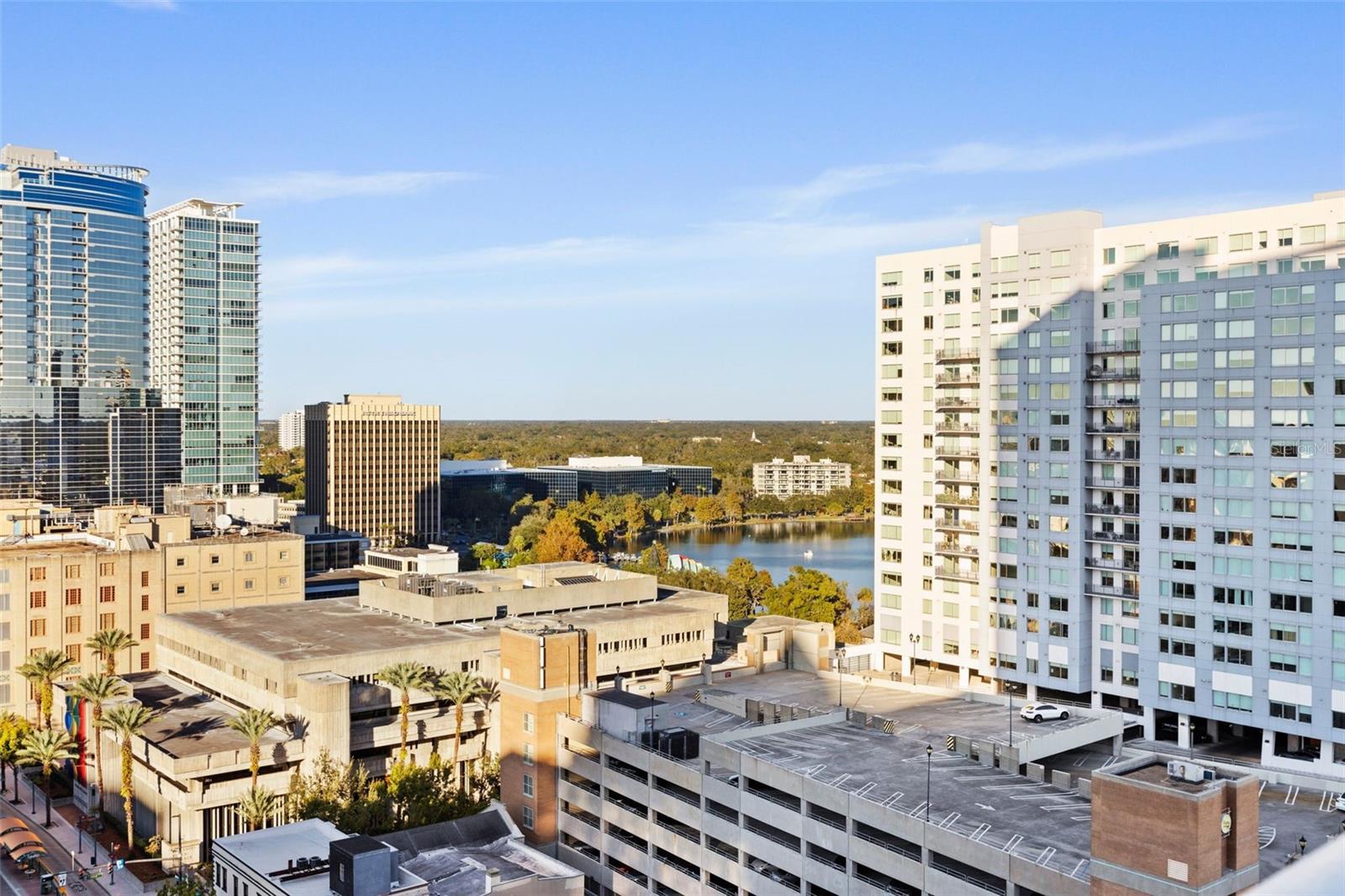 155 S COURT AVE #1316, ORLANDO, FL, 32801