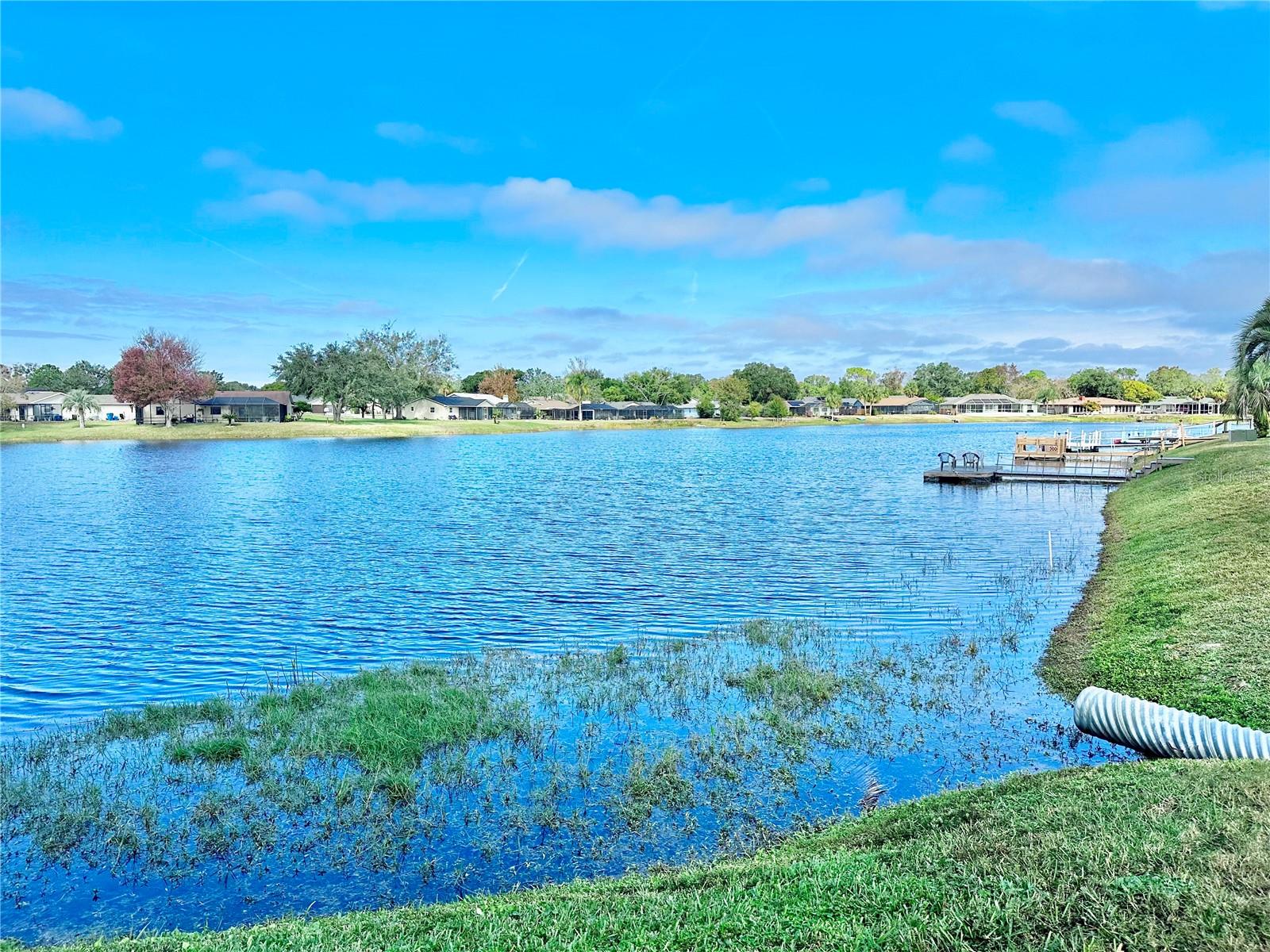 9107 LINGROVE RD, WEEKI WACHEE, FL, 34613