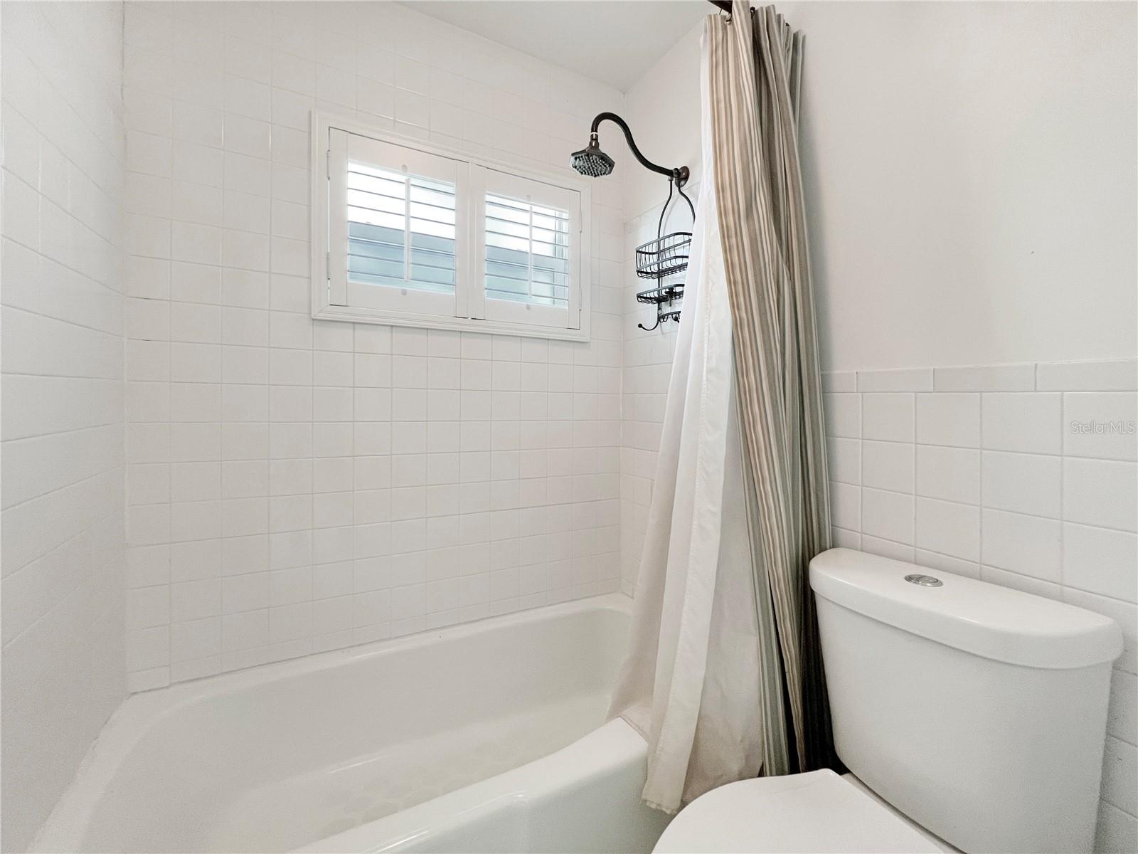 3101 PROSPECT RD #A, TAMPA, FL, 33629