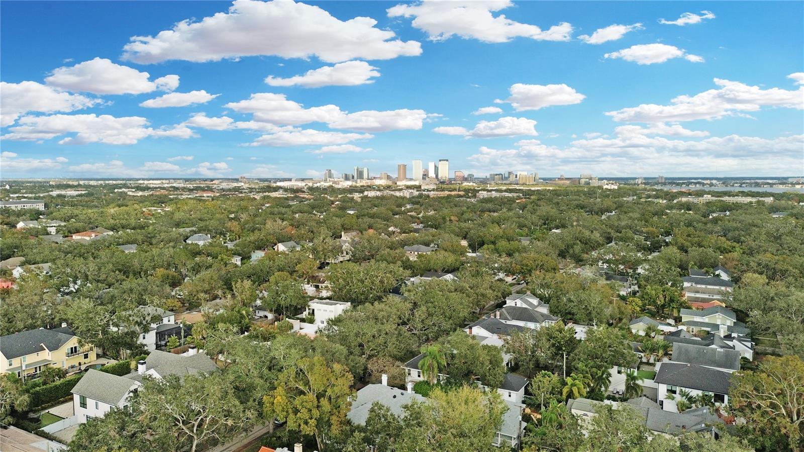 3101 PROSPECT RD #A, TAMPA, FL, 33629