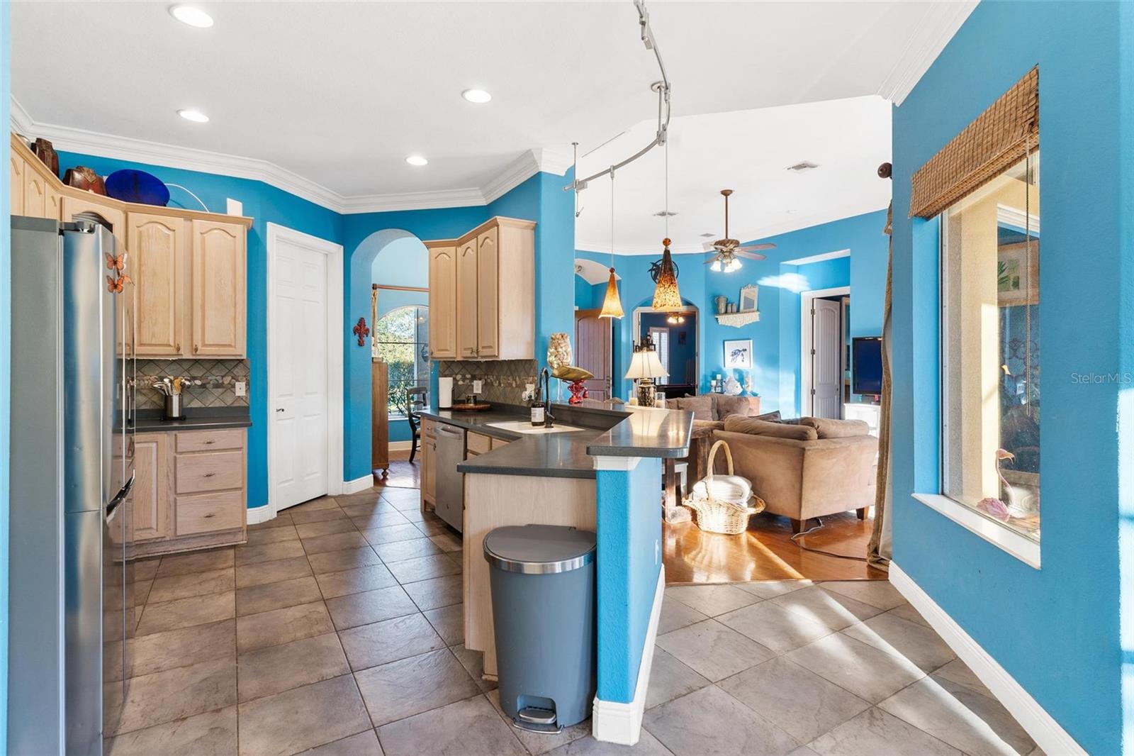 39419 TREELINE DR, LADY LAKE, FL, 32159