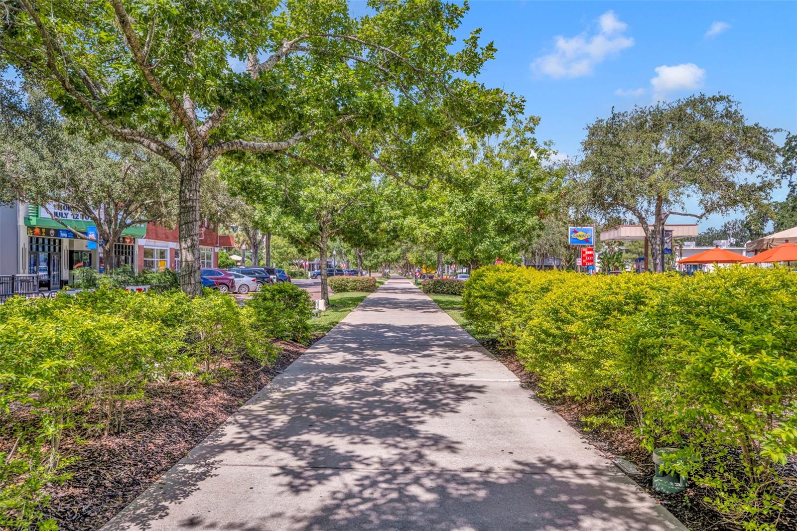 214 S WOODLAND ST, WINTER GARDEN, FL, 34787