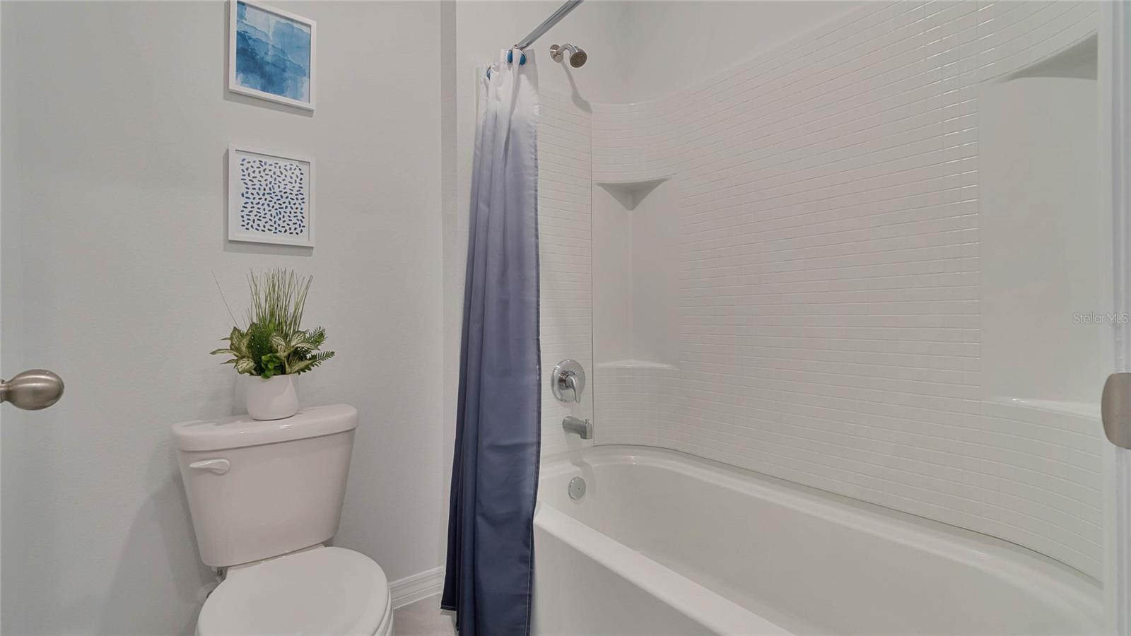 1241 LIMBALI ST, MOUNT DORA, FL, 32757