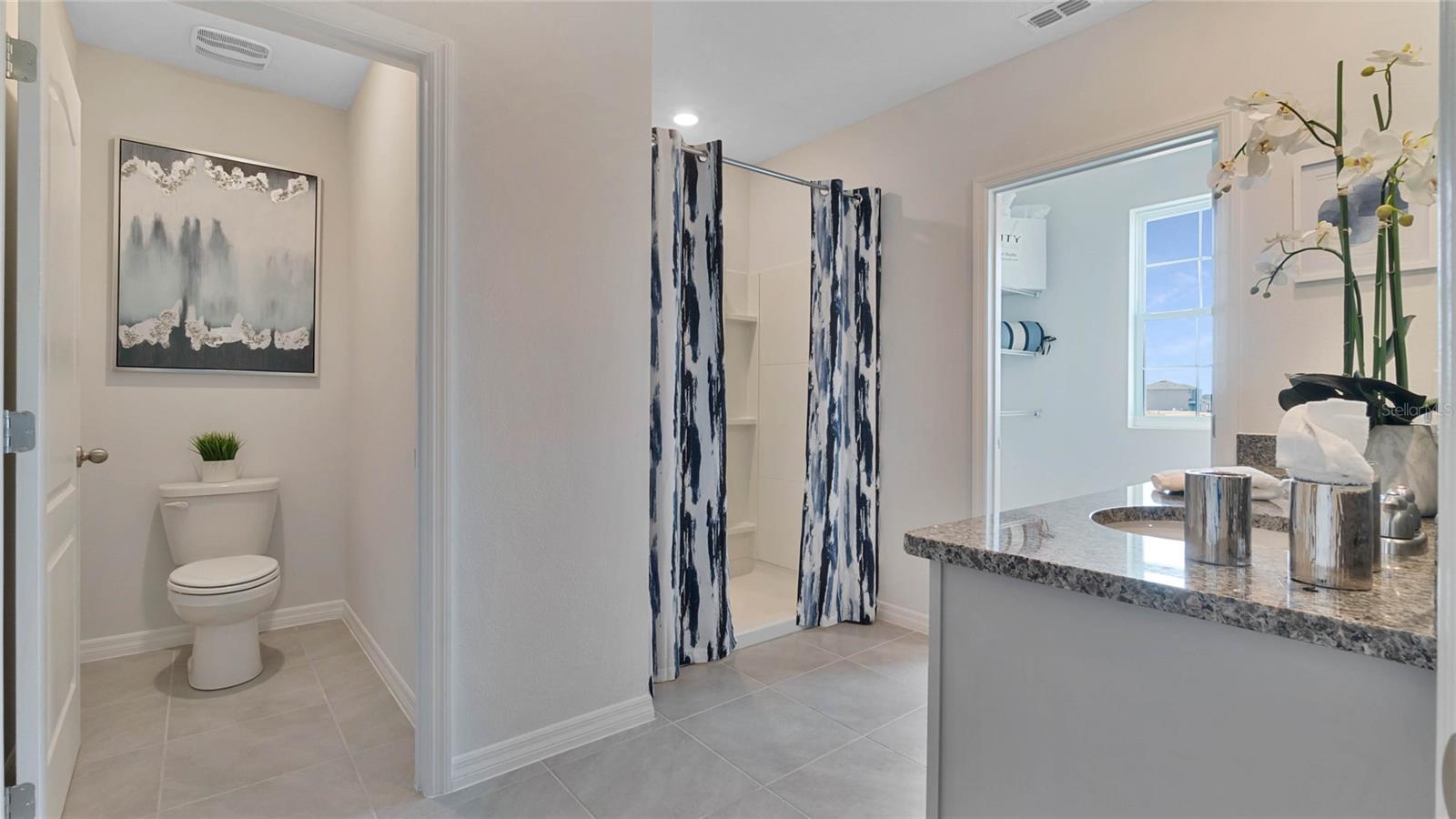 1241 LIMBALI ST, MOUNT DORA, FL, 32757