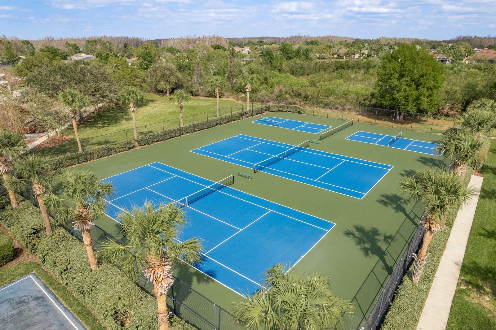 19409 WEYMOUTH DR, LAND O LAKES, FL, 34638