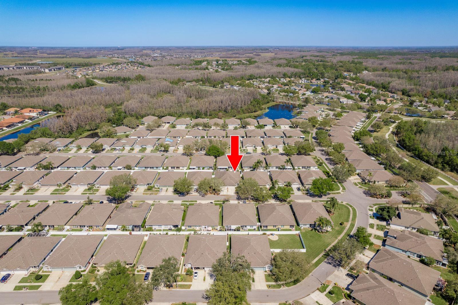 19409 WEYMOUTH DR, LAND O LAKES, FL, 34638
