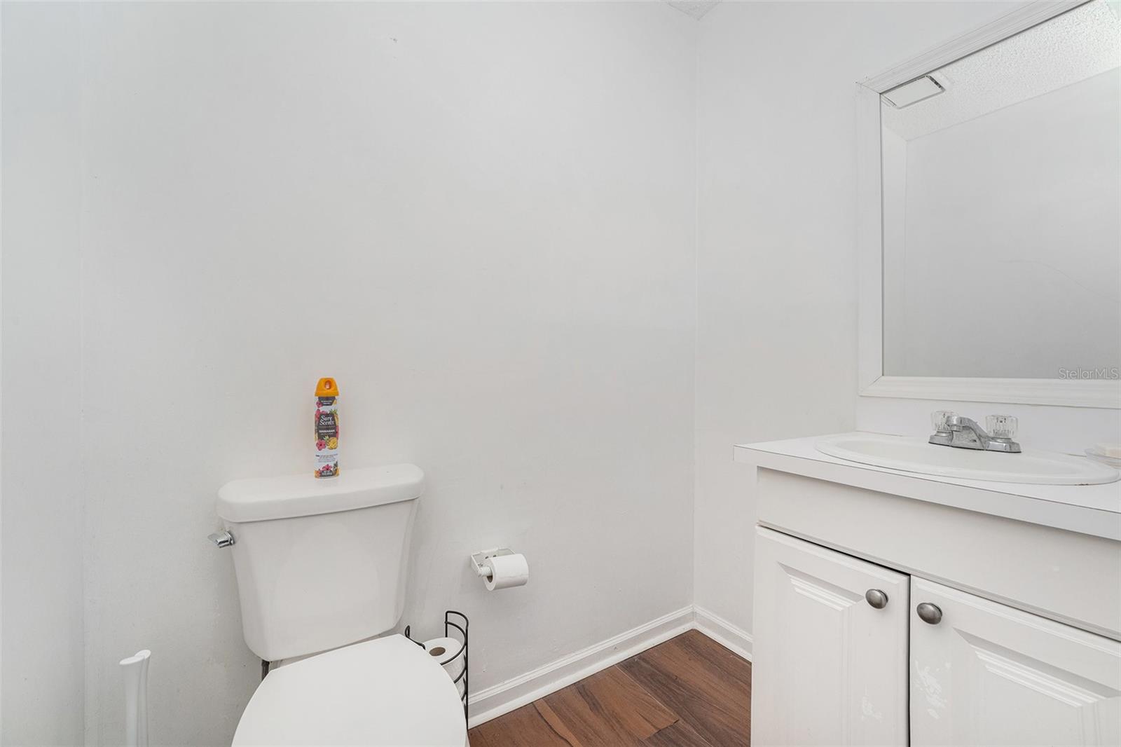 4609 HORTON RD, PLANT CITY, FL, 33567