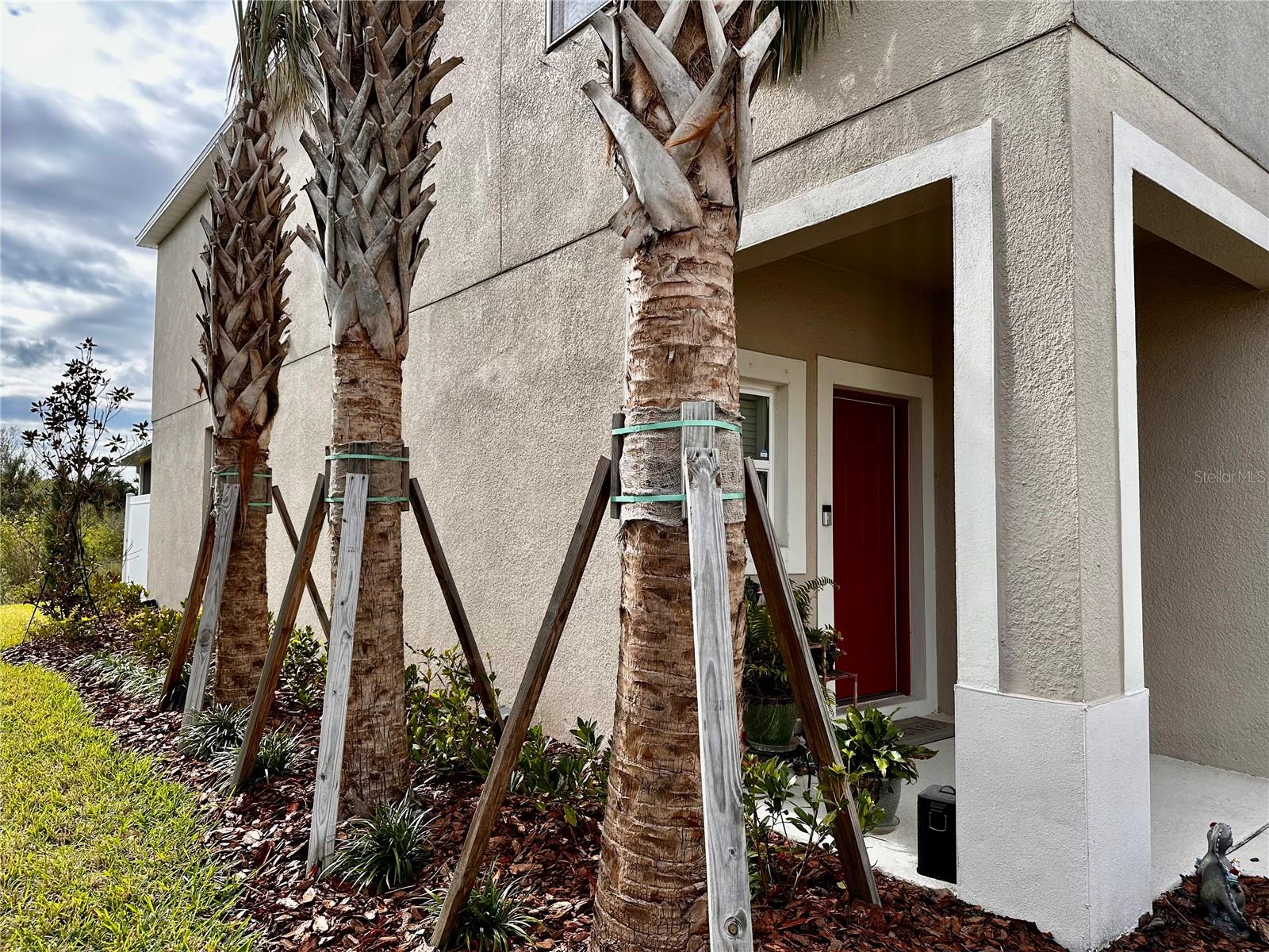 11739 GLENSIDE TER, PALMETTO, FL, 34221