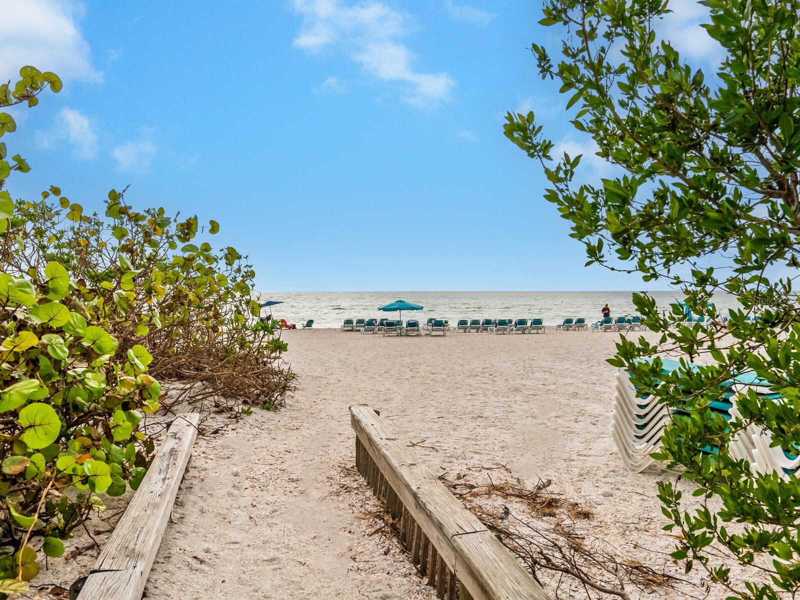 421 CLEVELAND DR, SARASOTA, FL, 34236
