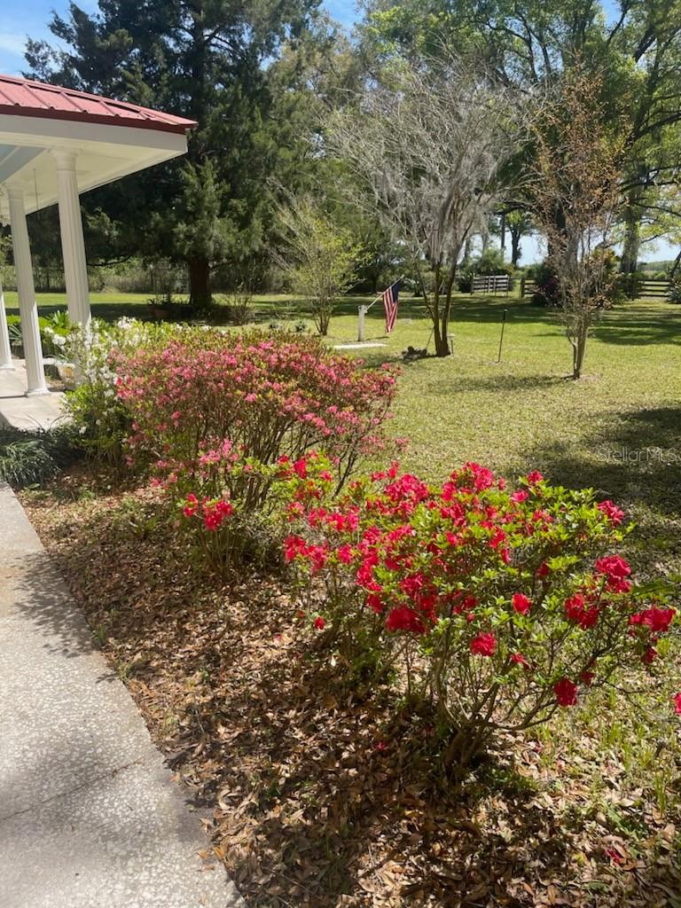 4510 SE COUNTY ROAD 232, TRENTON, FL, 32693