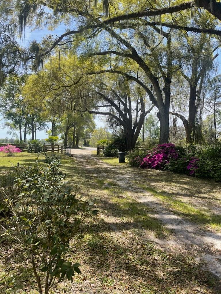 4510 SE COUNTY ROAD 232, TRENTON, FL, 32693