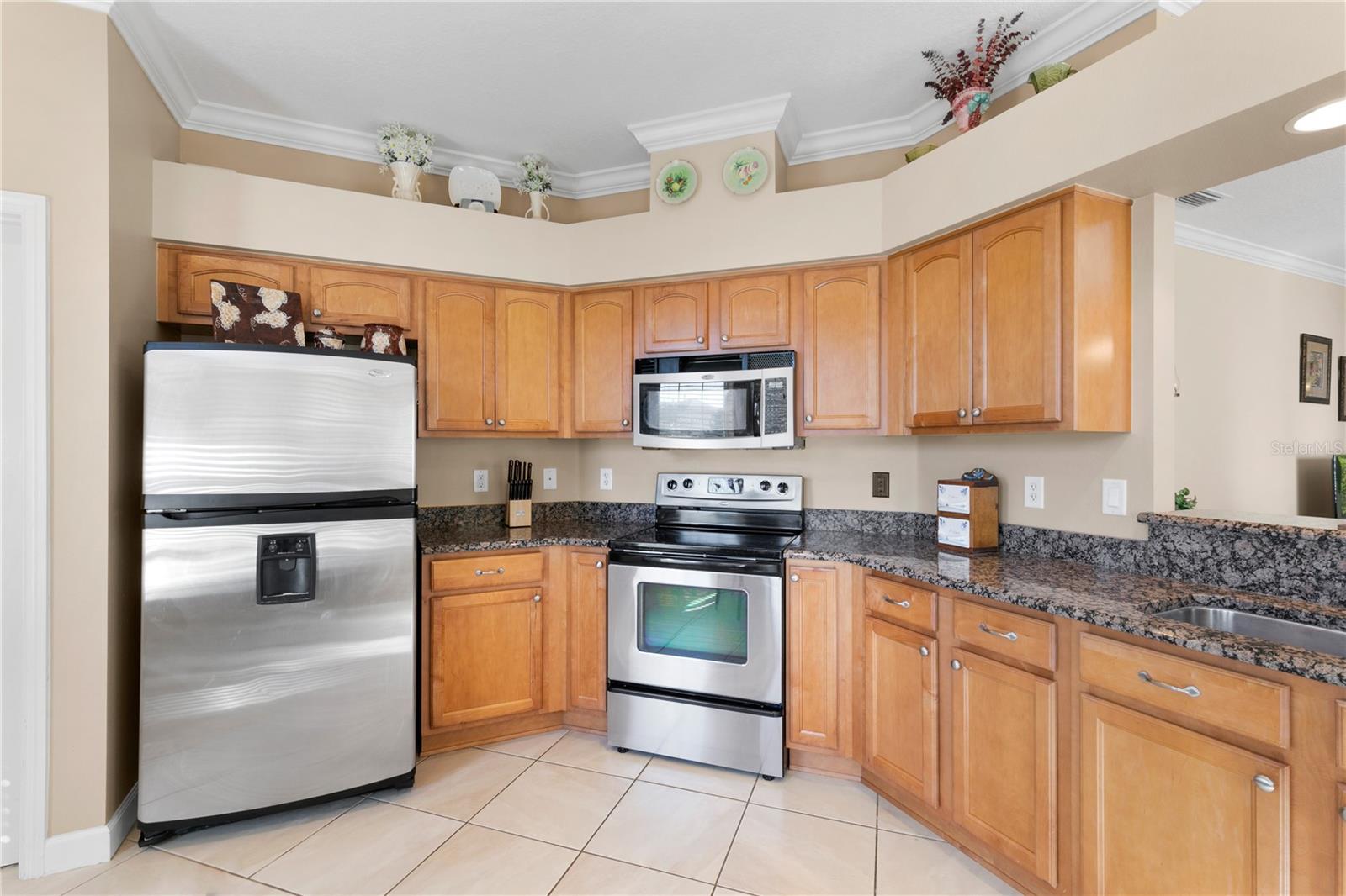 8274 BRIDGEPORT BAY CIR, MOUNT DORA, FL, 32757