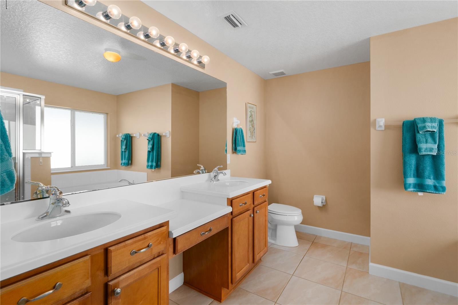 8274 BRIDGEPORT BAY CIR, MOUNT DORA, FL, 32757