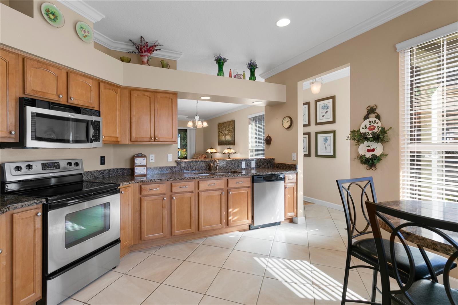 8274 BRIDGEPORT BAY CIR, MOUNT DORA, FL, 32757