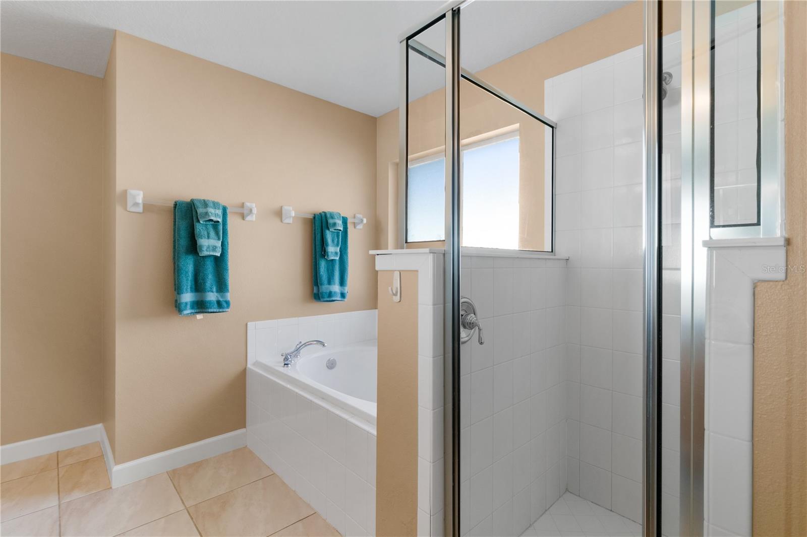 8274 BRIDGEPORT BAY CIR, MOUNT DORA, FL, 32757