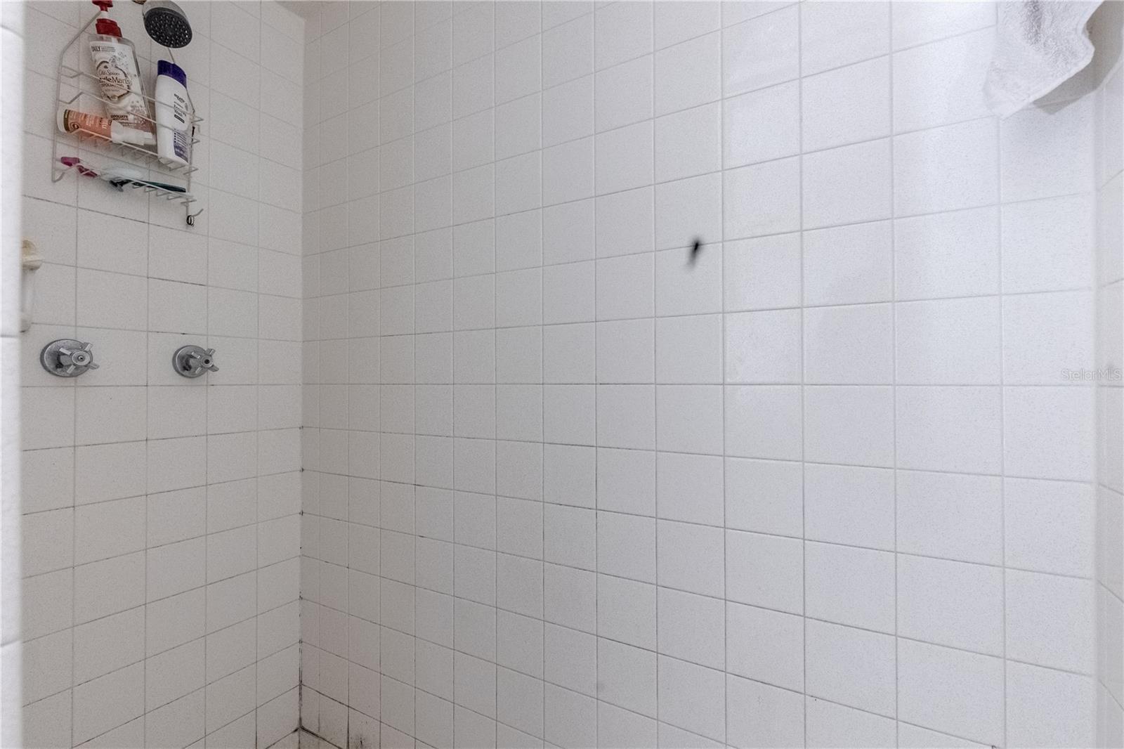 611 LIMBER LN, LAKELAND, FL, 33810