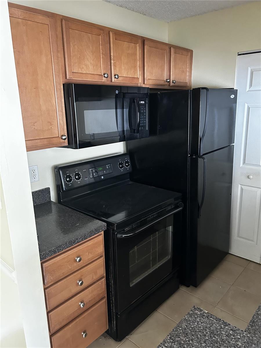 806 LAKE HAVEN SQ #105, BRANDON, FL, 33511