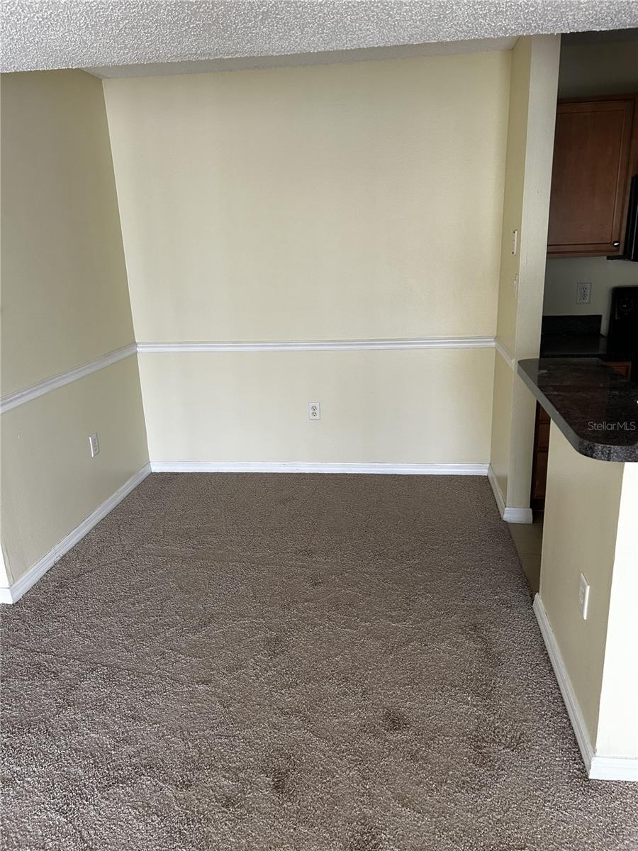 806 LAKE HAVEN SQ #105, BRANDON, FL, 33511