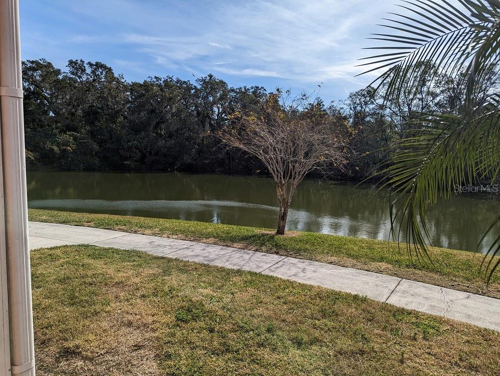 806 LAKE HAVEN SQ #105, BRANDON, FL, 33511