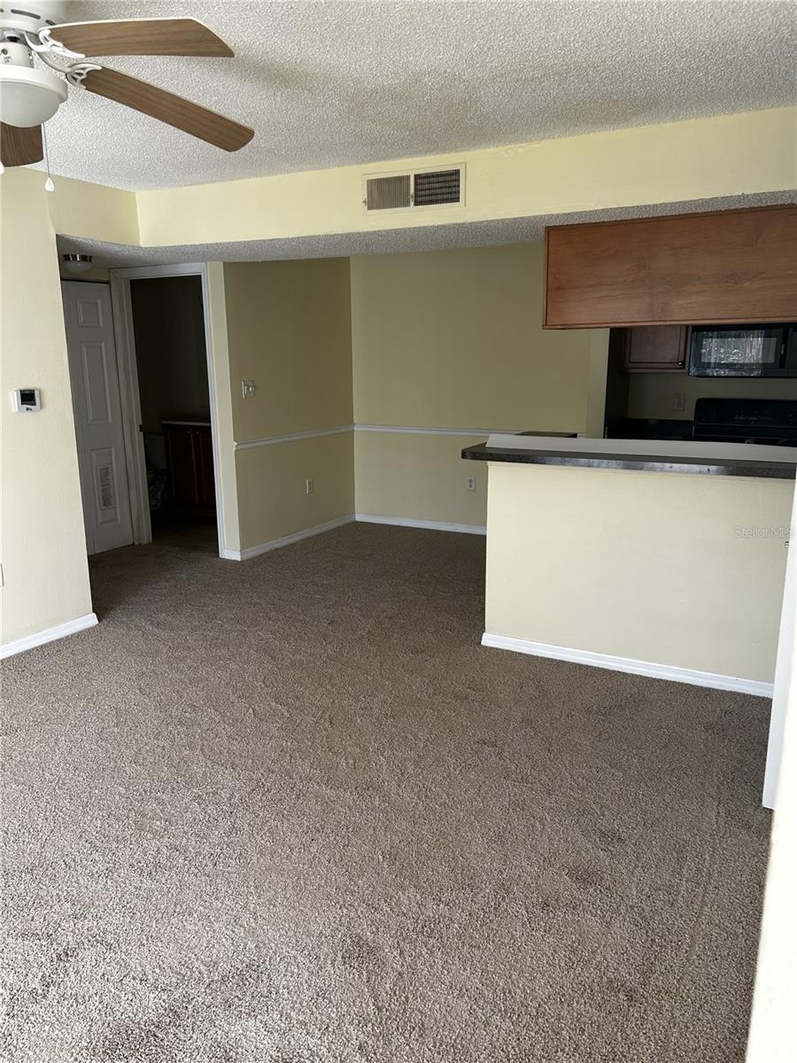 806 LAKE HAVEN SQ #105, BRANDON, FL, 33511
