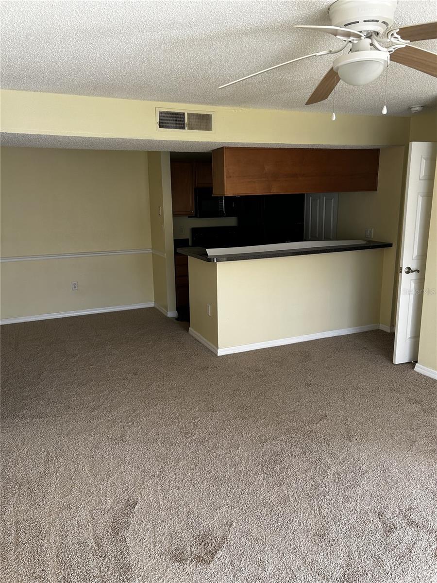 806 LAKE HAVEN SQ #105, BRANDON, FL, 33511