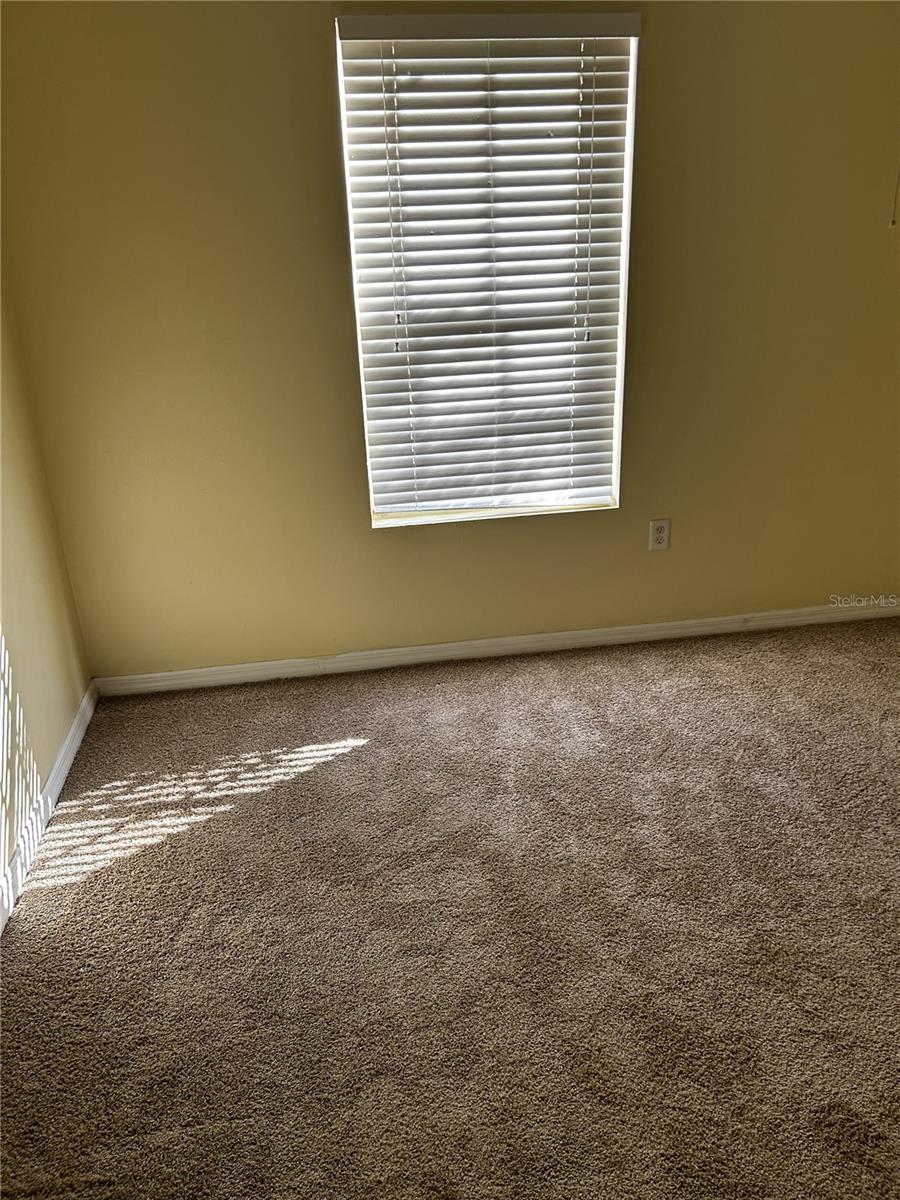 806 LAKE HAVEN SQ #105, BRANDON, FL, 33511