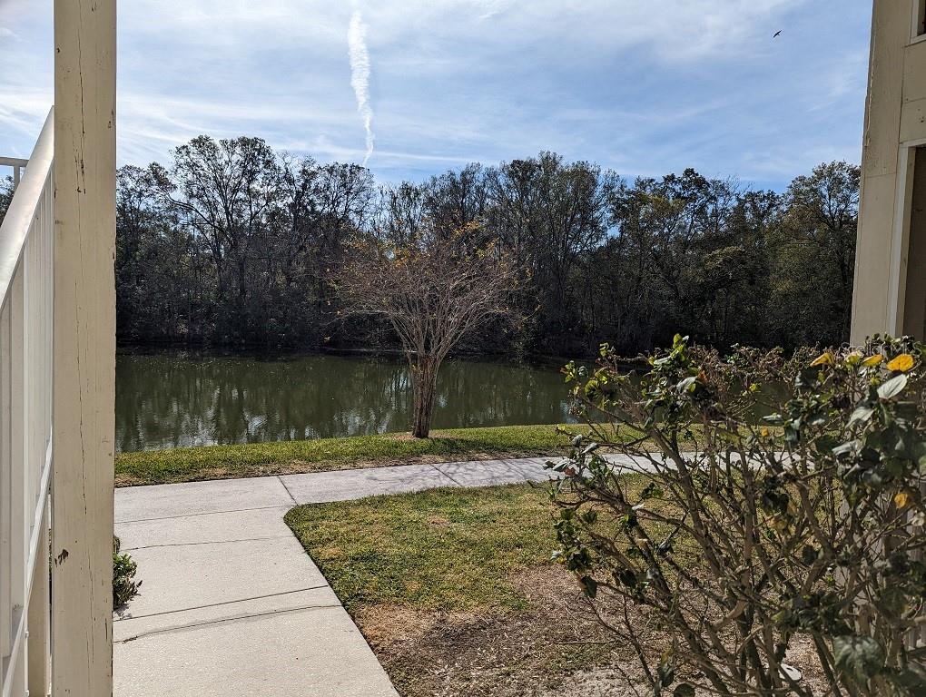 806 LAKE HAVEN SQ #105, BRANDON, FL, 33511