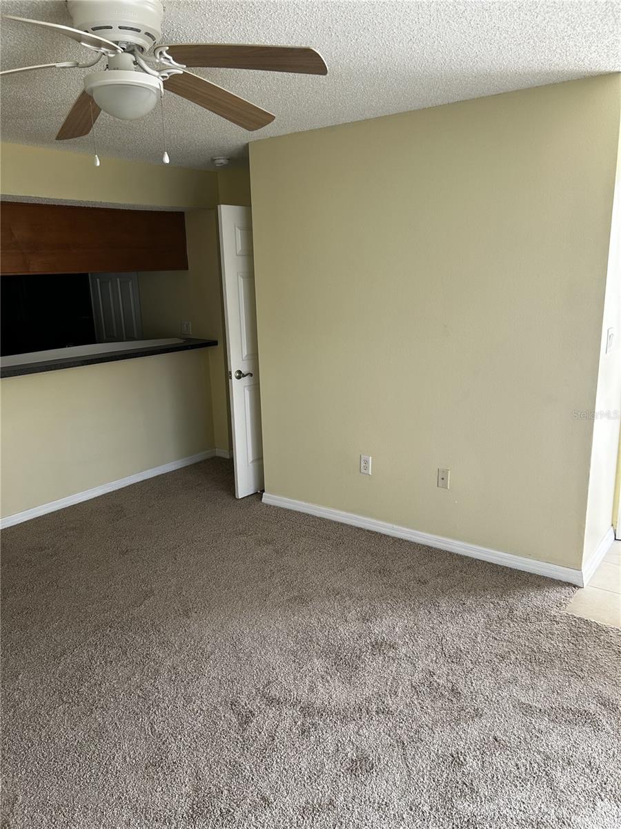 806 LAKE HAVEN SQ #105, BRANDON, FL, 33511