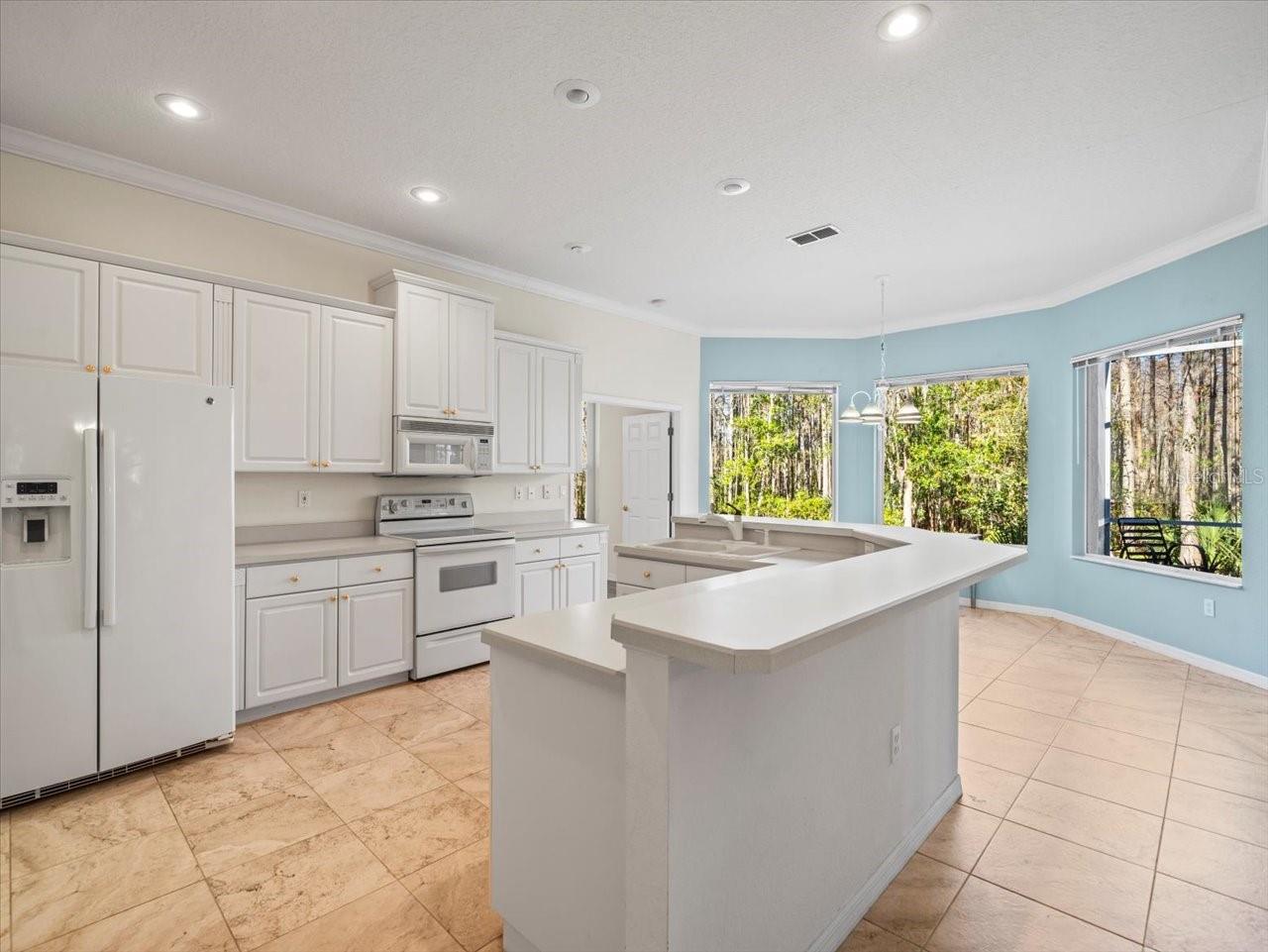 8689 MISSISSIPPI RUN, WEEKI WACHEE, FL, 34613