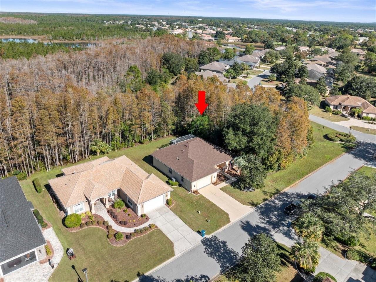 8689 MISSISSIPPI RUN, WEEKI WACHEE, FL, 34613
