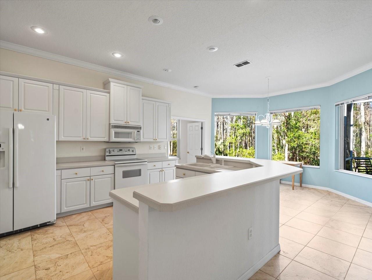 8689 MISSISSIPPI RUN, WEEKI WACHEE, FL, 34613