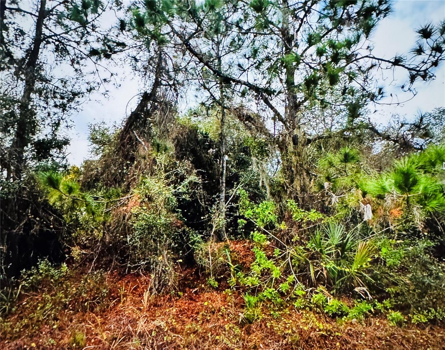 FIELDING ST, NORTH PORT, FL, 34288