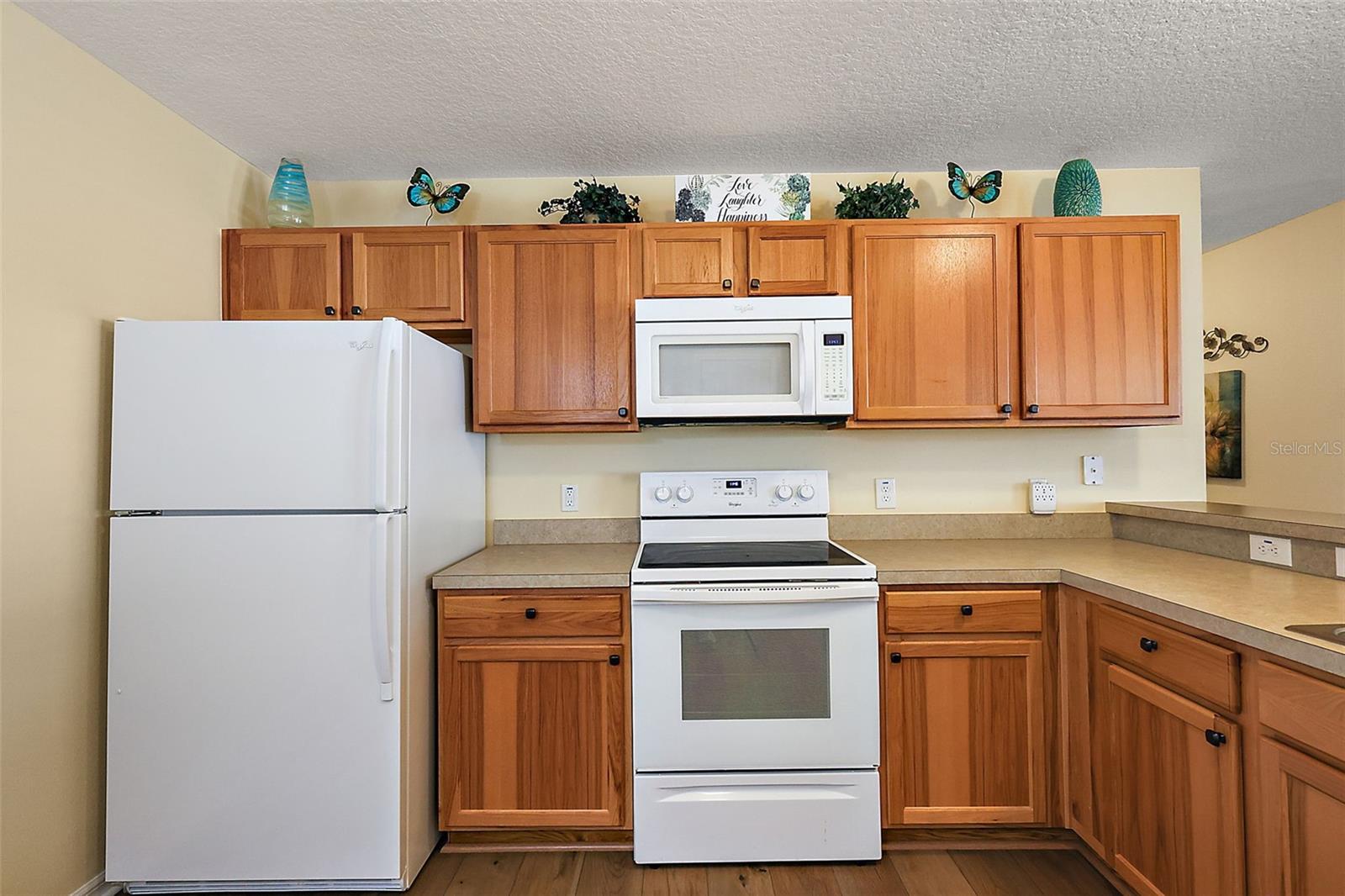 1367 VIOLA CT, THE VILLAGES, FL, 32163