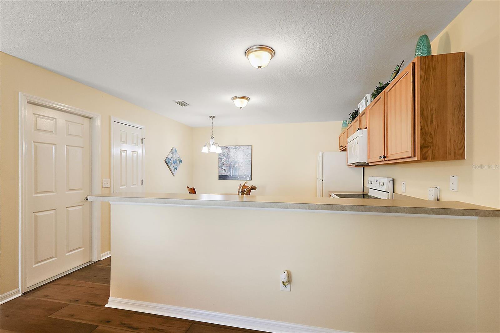 1367 VIOLA CT, THE VILLAGES, FL, 32163