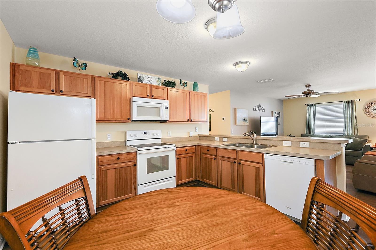 1367 VIOLA CT, THE VILLAGES, FL, 32163