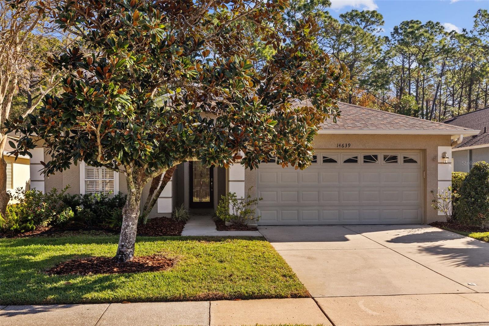 14639 CORKWOOD DR, TAMPA, FL, 33626