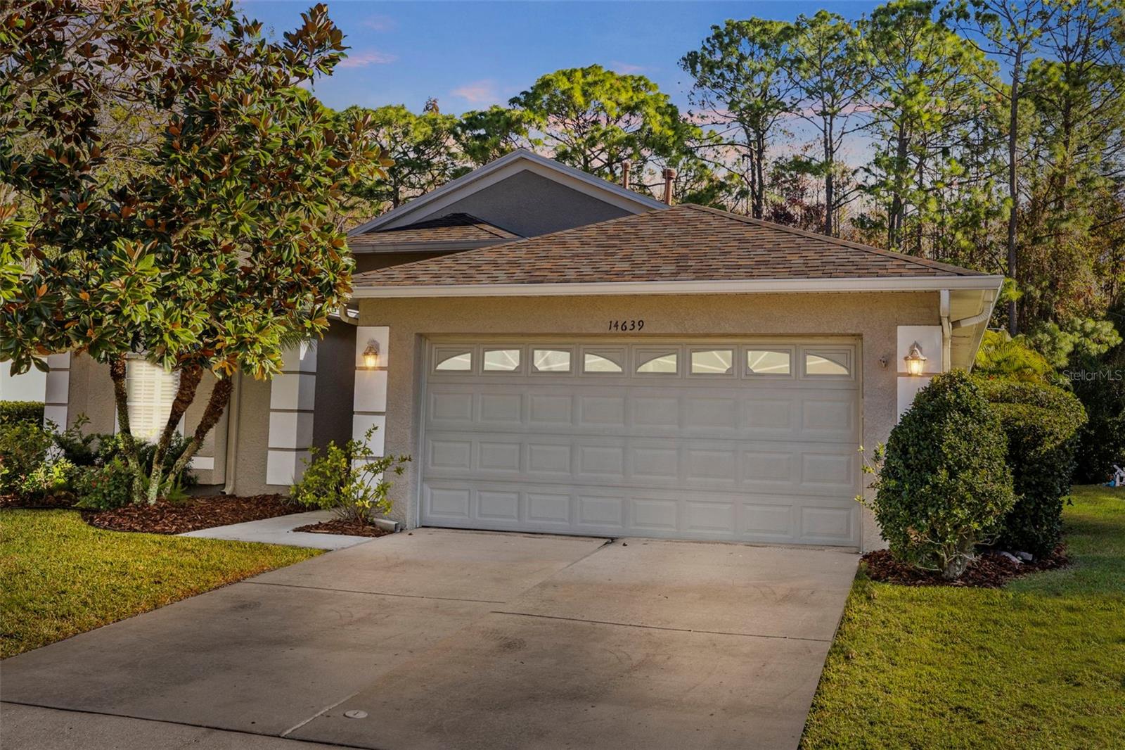 14639 CORKWOOD DR, TAMPA, FL, 33626