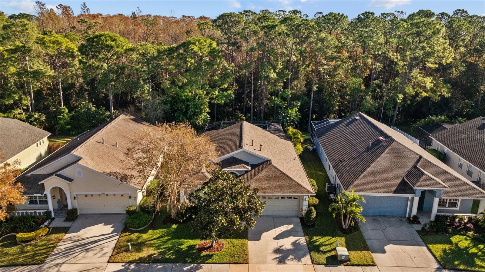 14639 CORKWOOD DR, TAMPA, FL, 33626