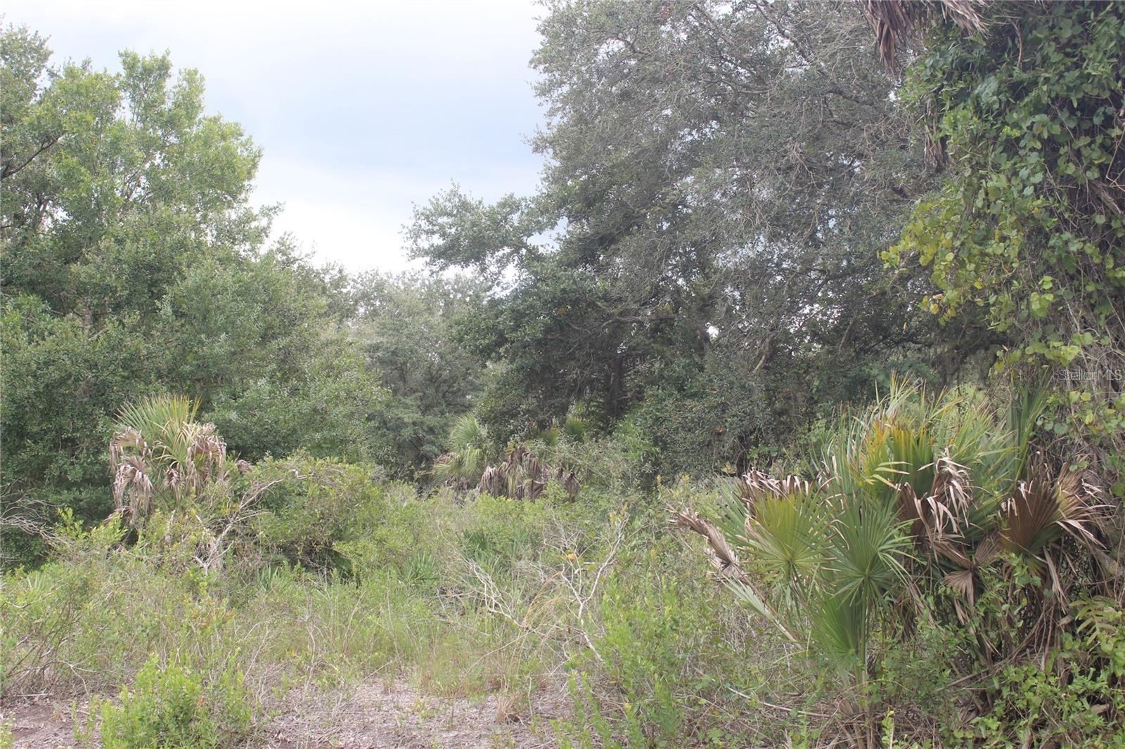 NW 304TH ST #Lot M, OKEECHOBEE, FL, 34972