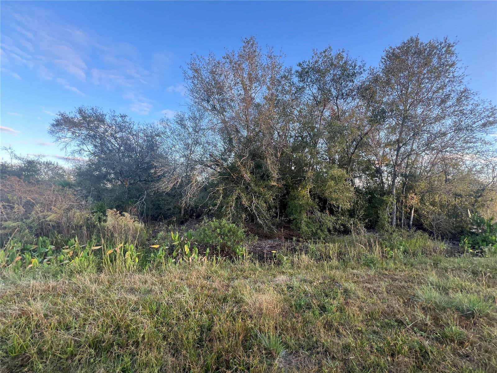NW 304TH ST #Lot C, OKEECHOBEE, FL, 34972