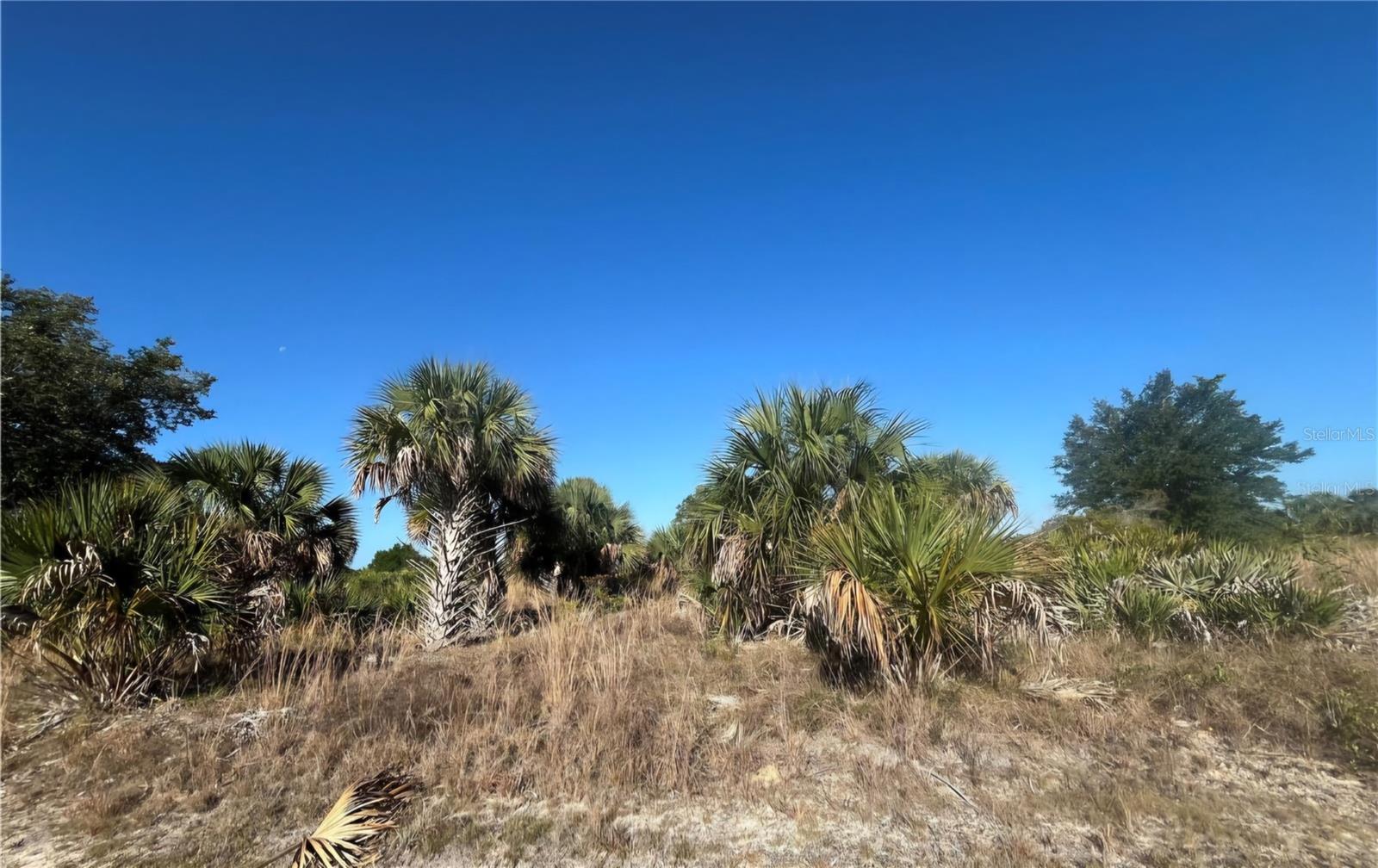 NW 304TH ST #Lot C, OKEECHOBEE, FL, 34972
