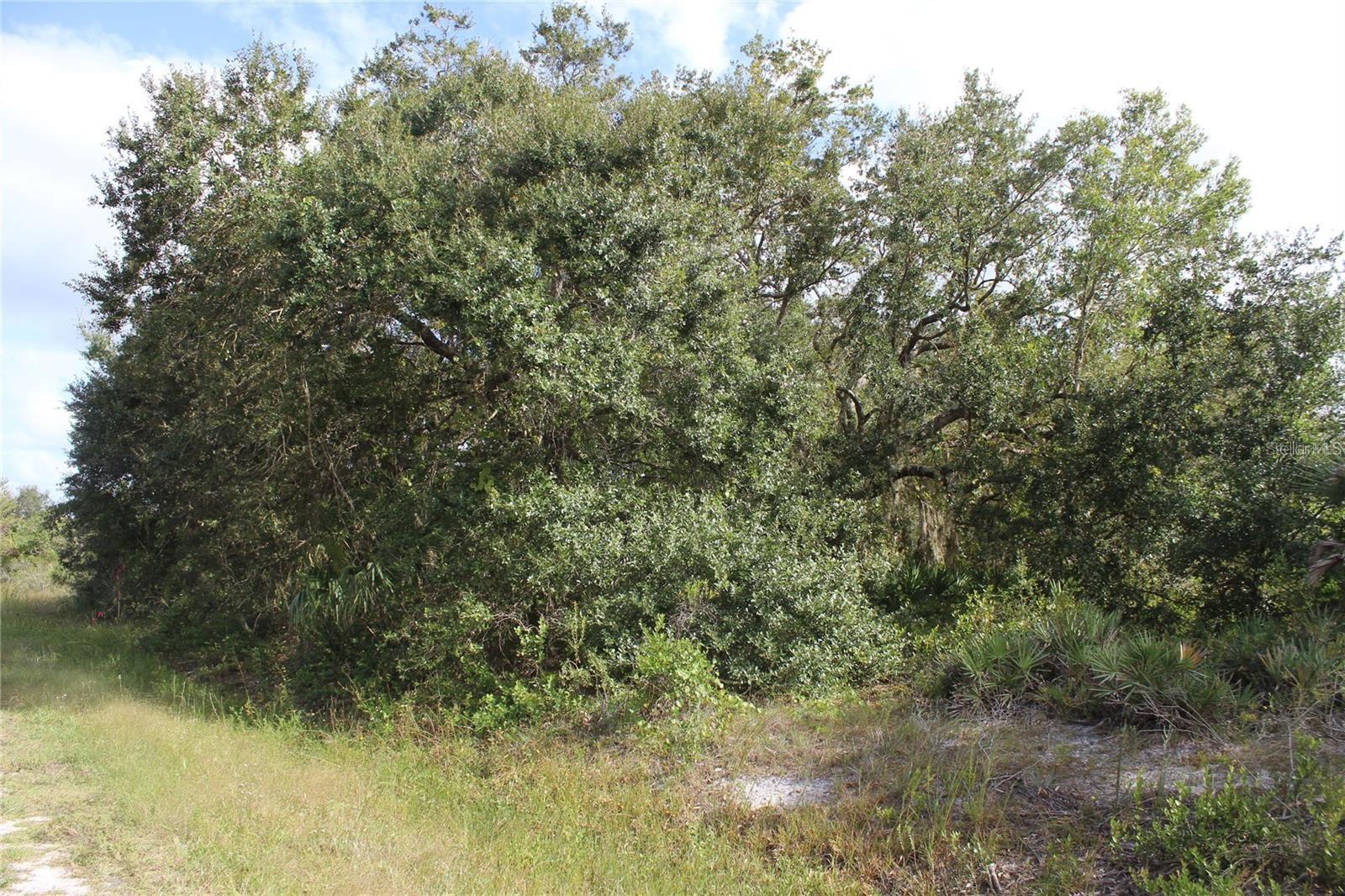 NW 304TH ST #Lot C, OKEECHOBEE, FL, 34972