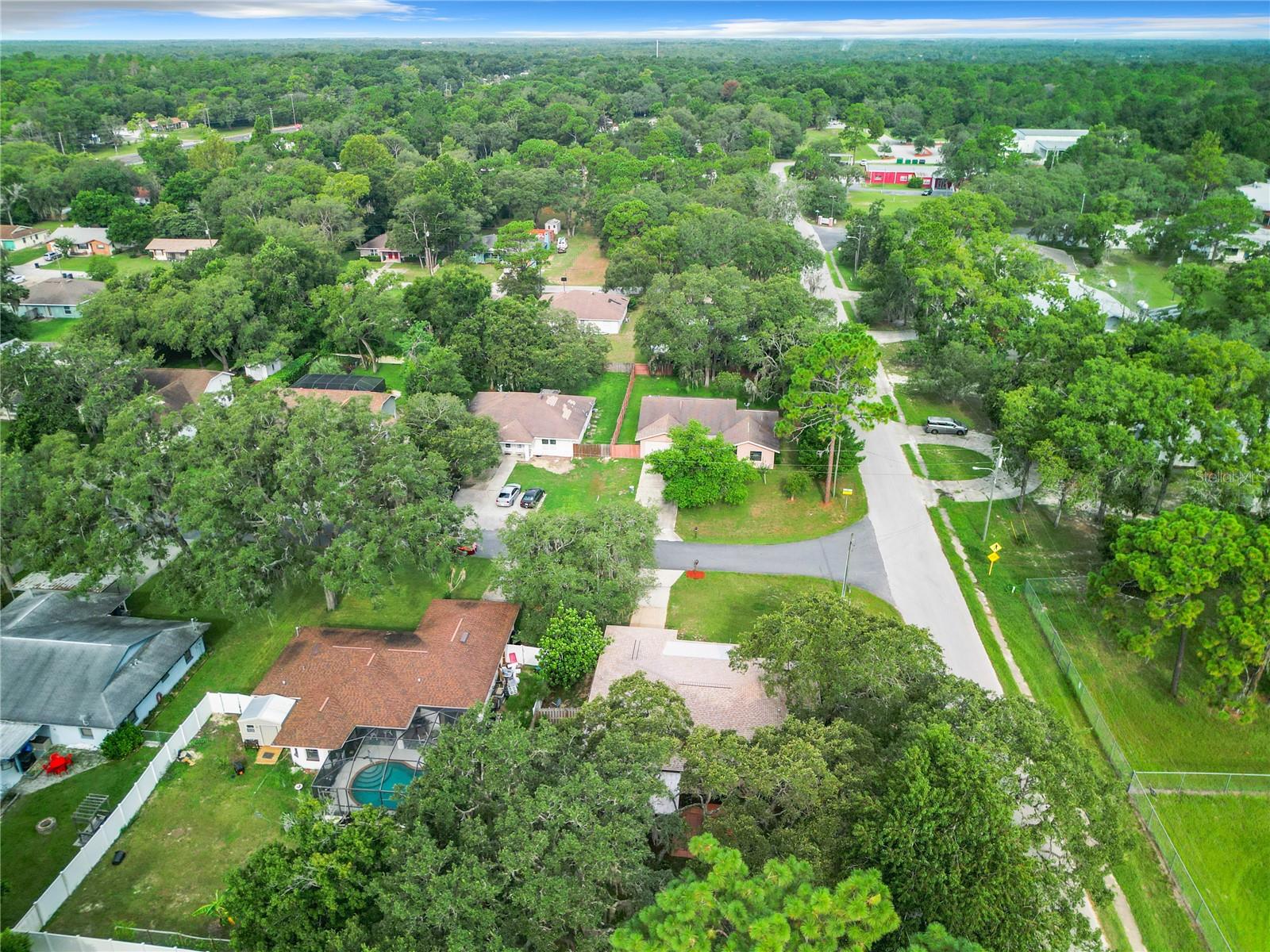 1237 N LION CUB PT, LECANTO, FL, 34461